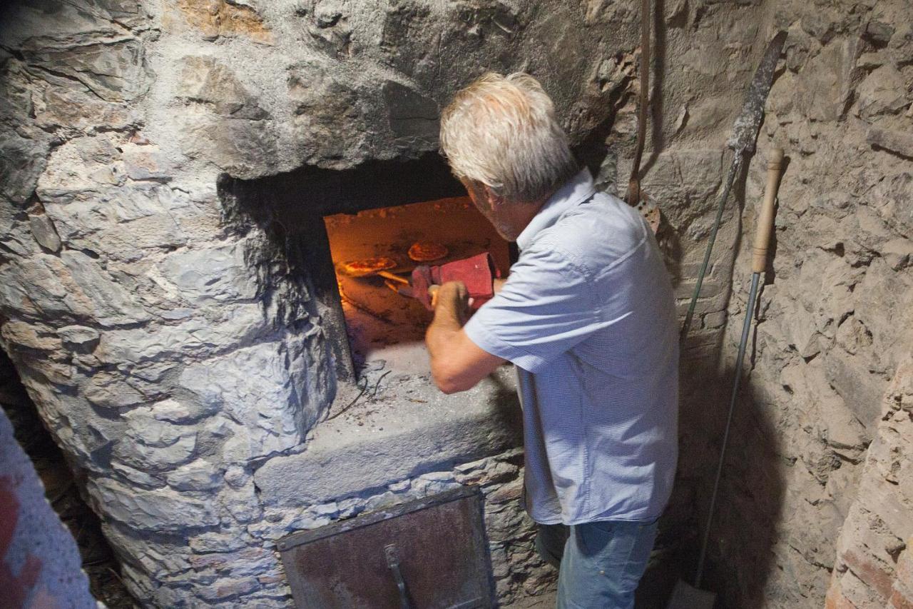 Agriturismo La Via Dell'Oliviera Ciciano 외부 사진